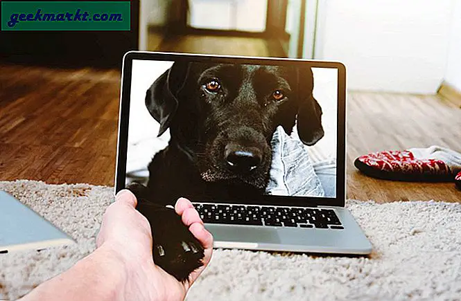 5 besten Haustierüberwachungs-Apps für Android und iOS