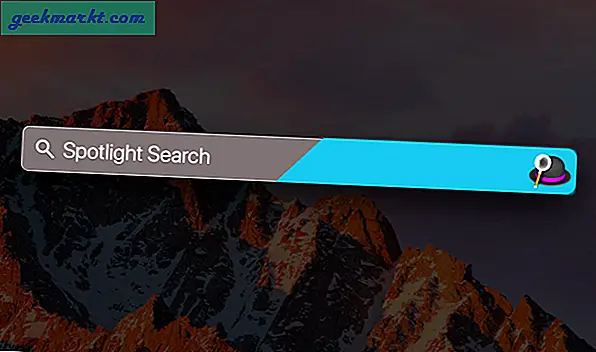 Alfred vs Spotlight: Welches zu wählen