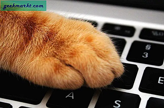 So nutzen Sie das Internet effektiv, um Informationen zu konsumieren