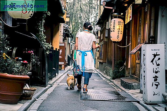 Beste Dog Walking App, um Geld zu verdienen und sich mit Tierbesitzern zu verbinden