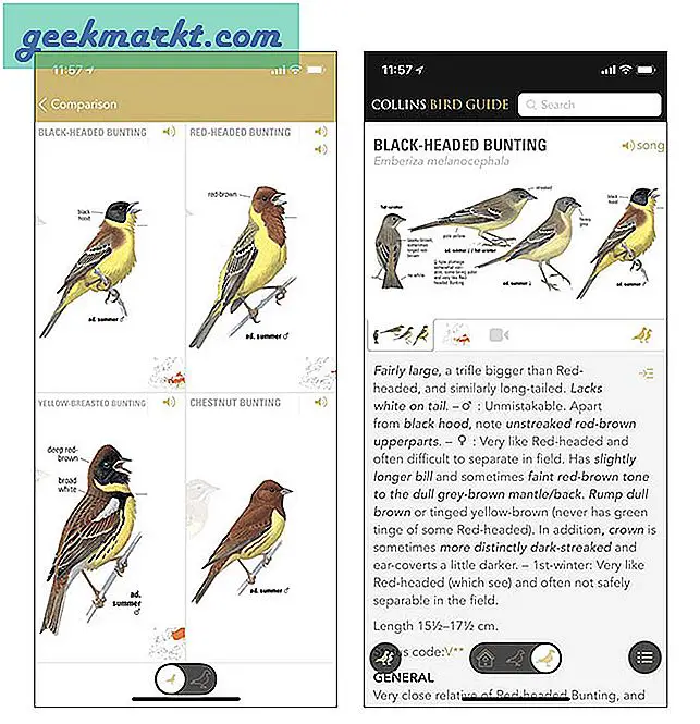 Beste Vogelbeobachtungs-Apps 2020 (Android und iOS)