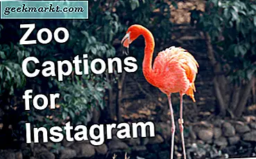 73 Instagram-Bildunterschriften für den Zoo